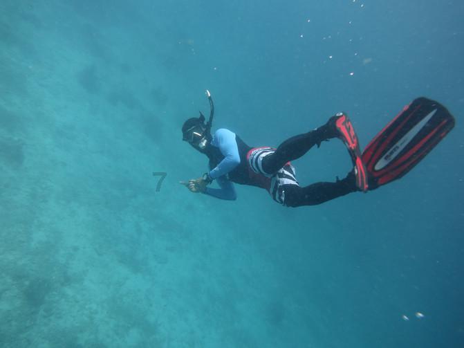 信息联动、AI检测……智能设施提升旅客出行体验